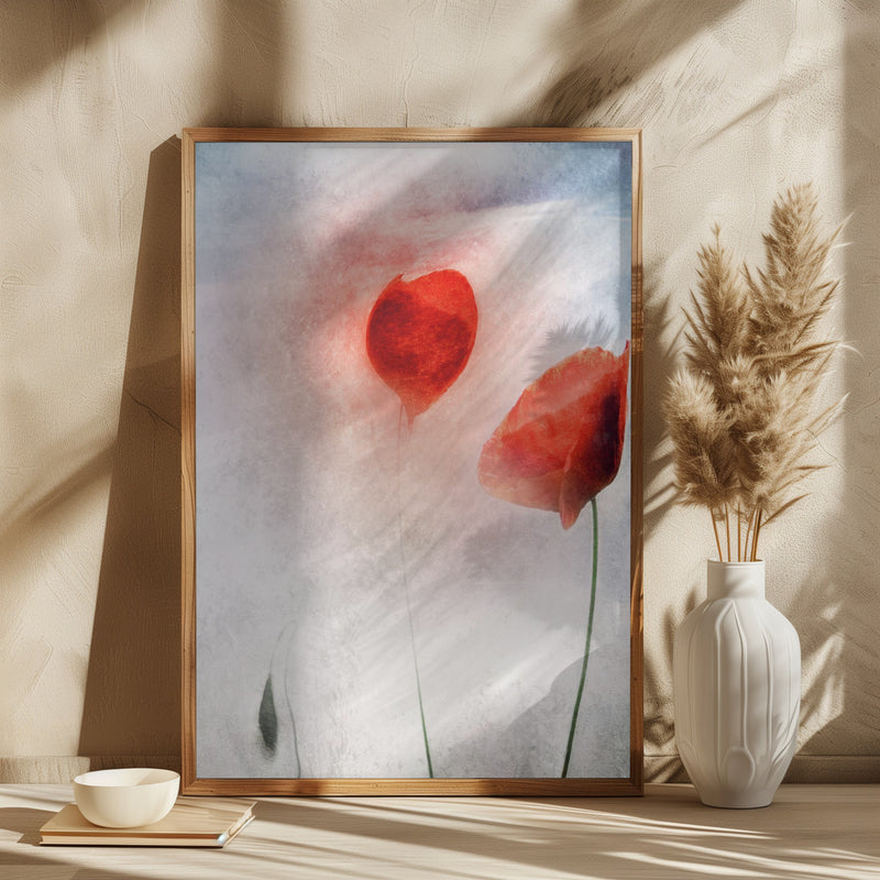 In Flanders Fields - Square Stretched Canvas, Poster or Fine Art Print I Heart Wall Art