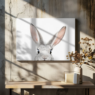 Peeking Bunny - Stretched Canvas, Poster or Fine Art Print I Heart Wall Art