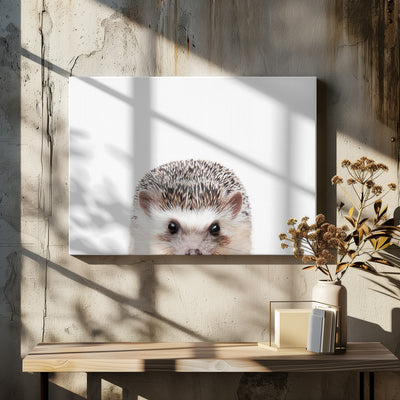 Peeking Hedgehog - Stretched Canvas, Poster or Fine Art Print I Heart Wall Art