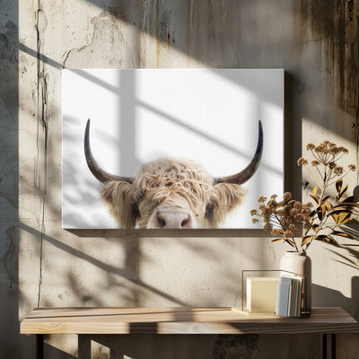 Peeking Cow - Stretched Canvas, Poster or Fine Art Print I Heart Wall Art