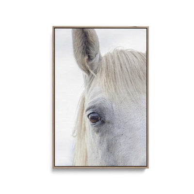 A White Horse's Face - Stretched Canvas, Poster or Fine Art Print I Heart Wall Art