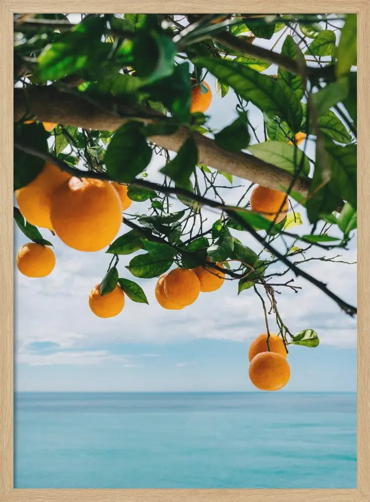 Amalfi Coast Oranges IV - Stretched Canvas, Poster or Fine Art Print I Heart Wall Art