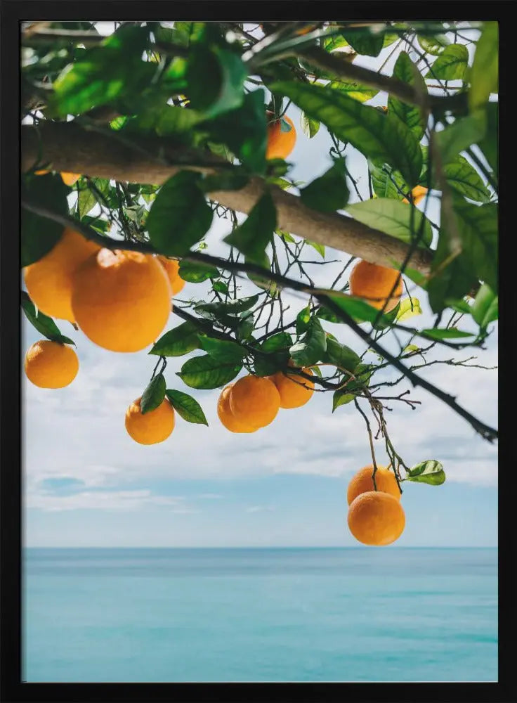 Amalfi Coast Oranges IV - Stretched Canvas, Poster or Fine Art Print I Heart Wall Art