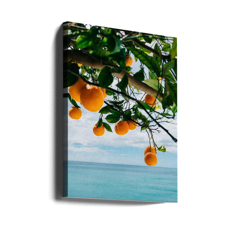 Amalfi Coast Oranges IV - Stretched Canvas, Poster or Fine Art Print I Heart Wall Art