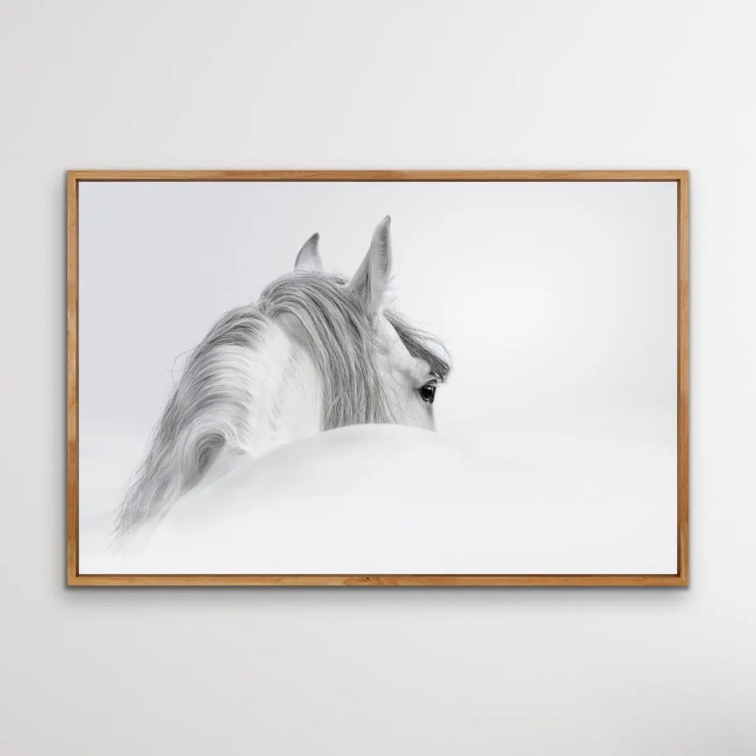 Beautiful 50cm x outlet 100cm Canvas Equine Print