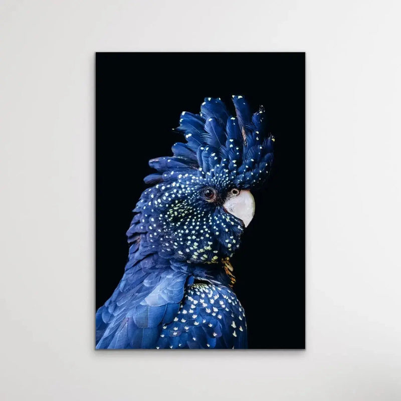 Black Cockatoo on Black - Black Cockatoo Wall Art Print Stretched Canvas Wall Art - I Heart Wall Art - Poster Print, Canvas Print or Framed Art Print