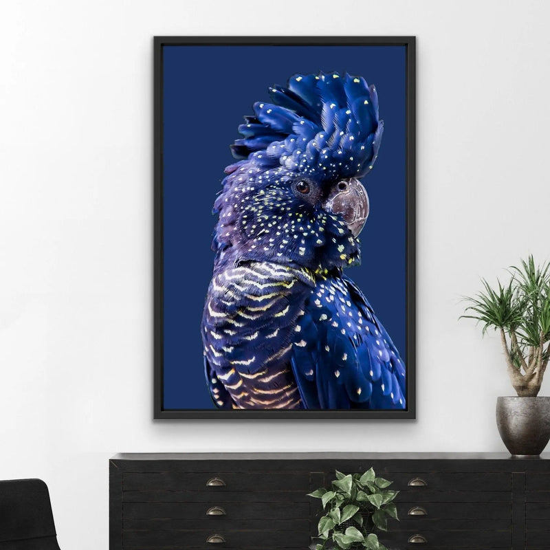 Black Cockatoo on Navy - Black Cockatoo Wall Art Print Stretched Canvas Wall Art - I Heart Wall Art