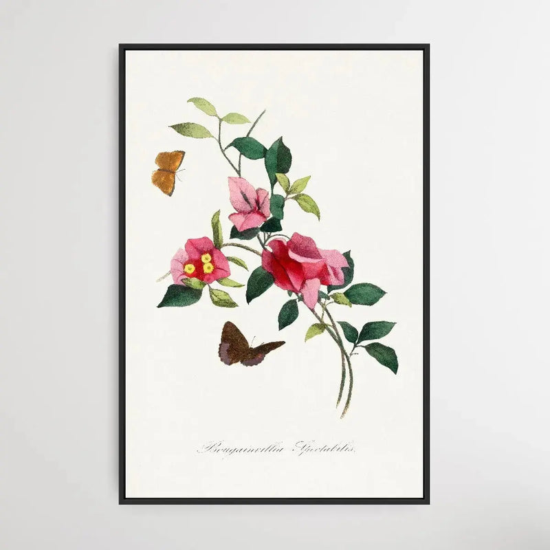 Bougainvillea flower painting by Paul Gervais - I Heart Wall Art - Poster Print, Canvas Print or Framed Art Print