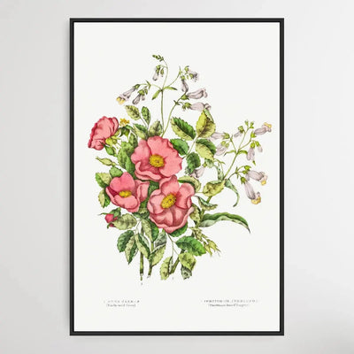 Canadian Wild Flowers (1869) Plate VII by Agnes Fitz Gibbon and Catharine Parr Traill - I Heart Wall Art - Poster Print, Canvas Print or Framed Art Print