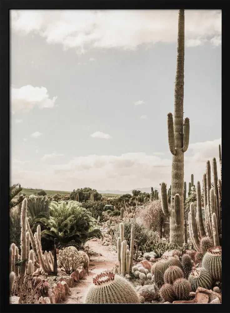 Catus Farm - Stretched Canvas, Poster or Fine Art Print I Heart Wall Art