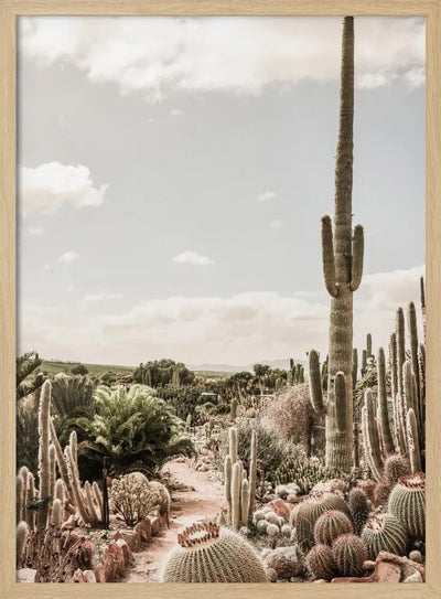 Catus Farm - Stretched Canvas, Poster or Fine Art Print I Heart Wall Art