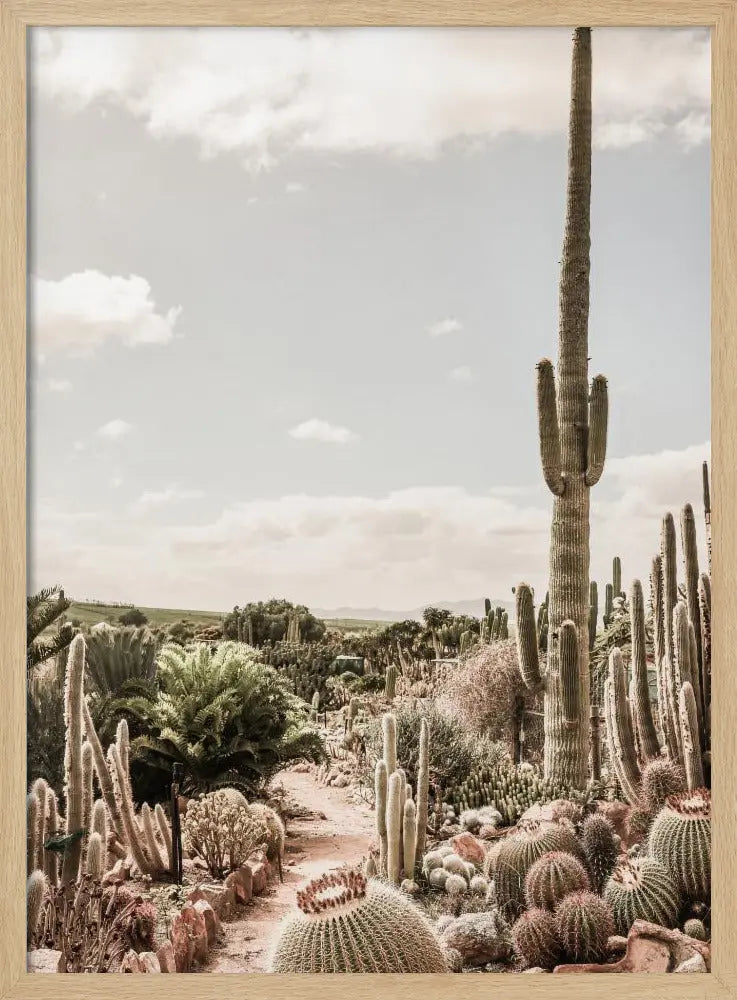 Catus Farm - Stretched Canvas, Poster or Fine Art Print I Heart Wall Art