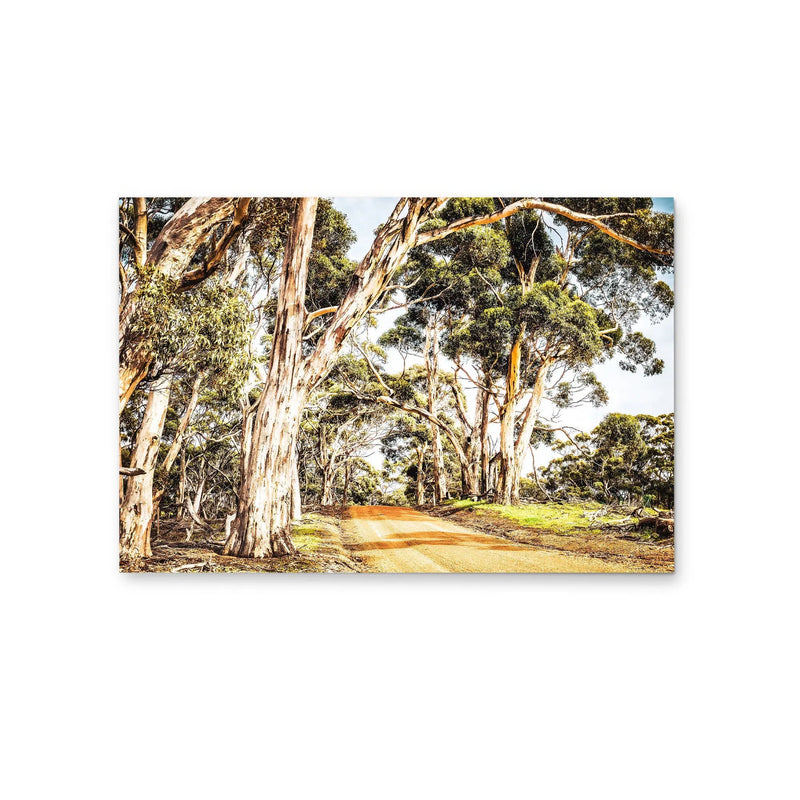 Country Road -  Original Australian Bush Road Nature Painting Stretched Canvas Wall Art Print - I Heart Wall Art