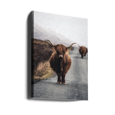 Cow - Stretched Canvas, Poster or Fine Art Print I Heart Wall Art