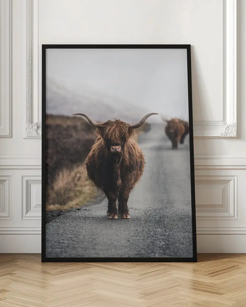 Cow - Stretched Canvas, Poster or Fine Art Print I Heart Wall Art