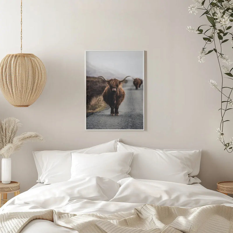 Cow - Stretched Canvas, Poster or Fine Art Print I Heart Wall Art