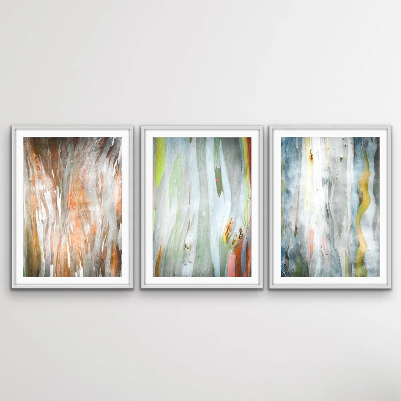 Eucalyptus Bark - Three Piece Eucalypts Bark Australian Native Print Set Triptych