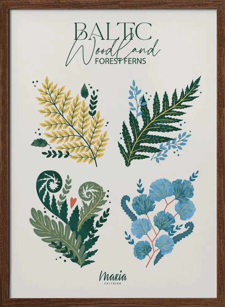 Forest Ferns - Stretched Canvas, Poster or Fine Art Print I Heart Wall Art