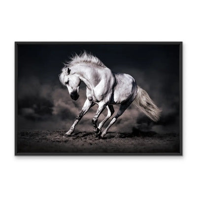 Frolick - Horse Leaping Stretched Canvas Print or Framed Fine Art Print I Heart Wall Art Australia