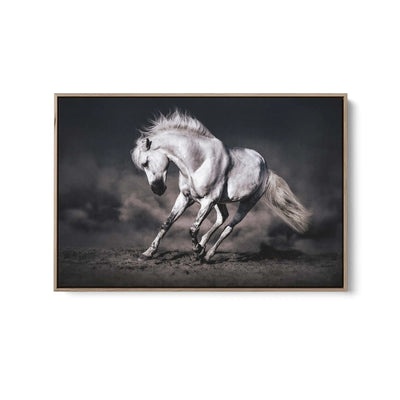 Galloping White Horse in Dark Background - Australian Landscape Artwork (Copy) I Heart Wall Art Australia