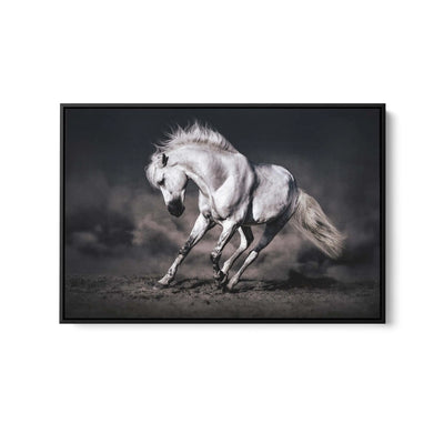 Galloping White Horse in Dark Background - Australian Landscape Artwork (Copy) I Heart Wall Art Australia