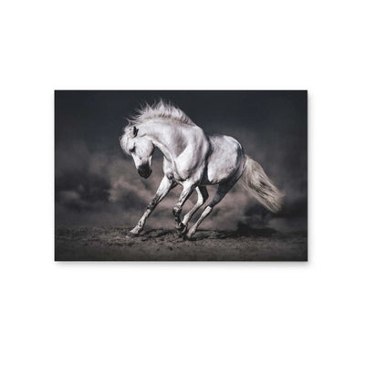 Galloping White Horse in Dark Background - Australian Landscape Artwork (Copy) I Heart Wall Art Australia