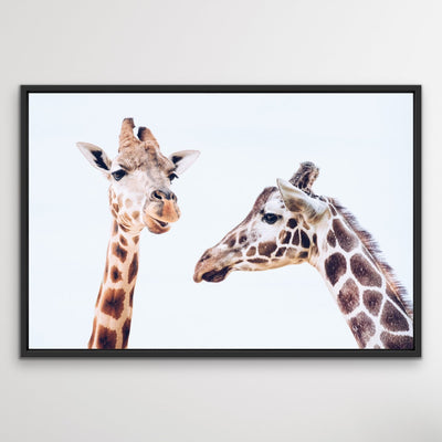 Giraffe Pair - Original Wall Art Print  on Canvas Featuring Two Giraffes - I Heart Wall Art