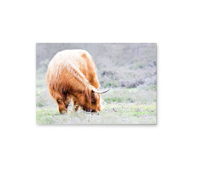 Highland Cow In The Grass - Stretched Canvas Print or Framed Art Print I Heart Wall Art Australia 