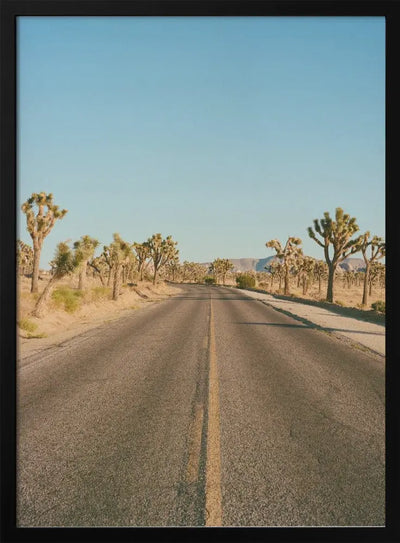 Joshua Tree Road II - Stretched Canvas, Poster or Fine Art Print I Heart Wall Art