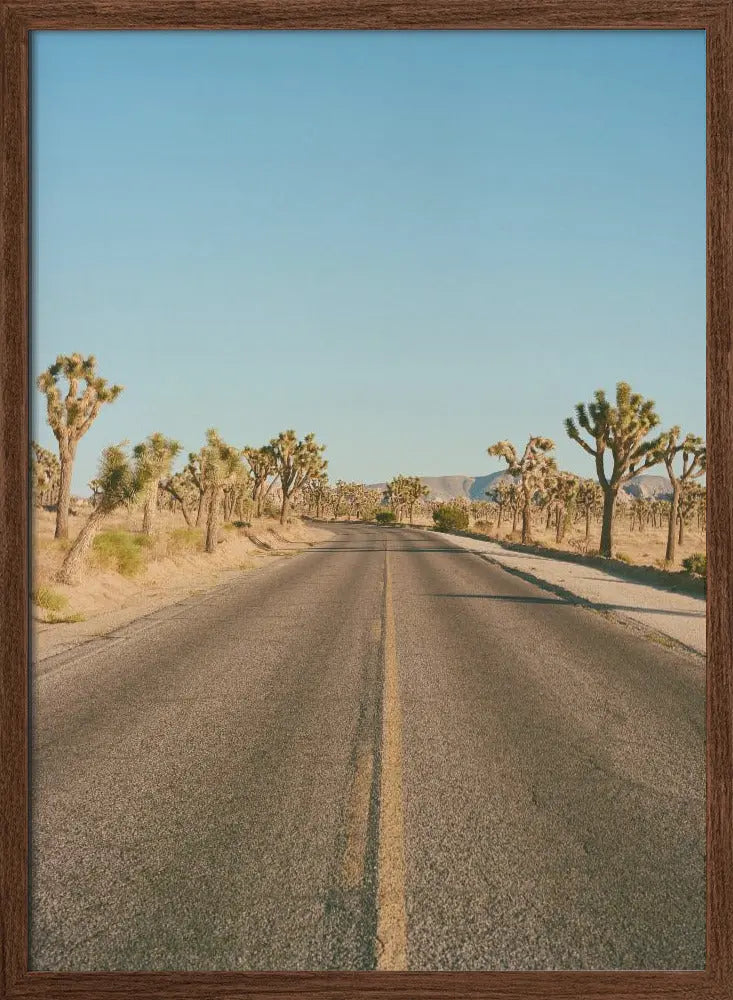 Joshua Tree Road II - Stretched Canvas, Poster or Fine Art Print I Heart Wall Art