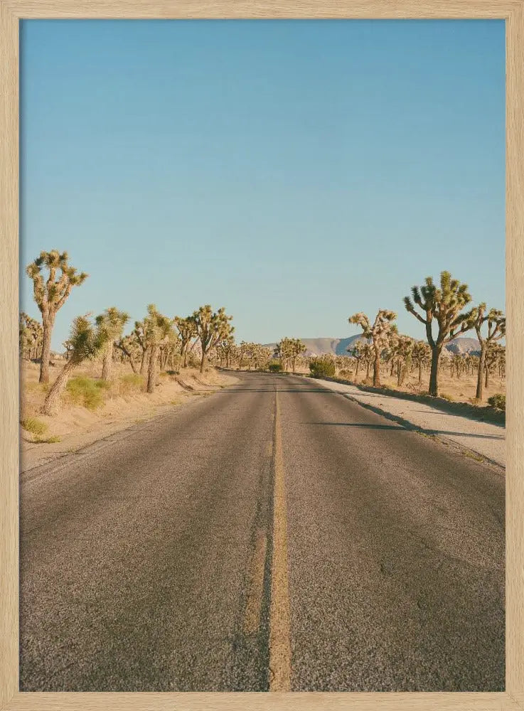 Joshua Tree Road II - Stretched Canvas, Poster or Fine Art Print I Heart Wall Art