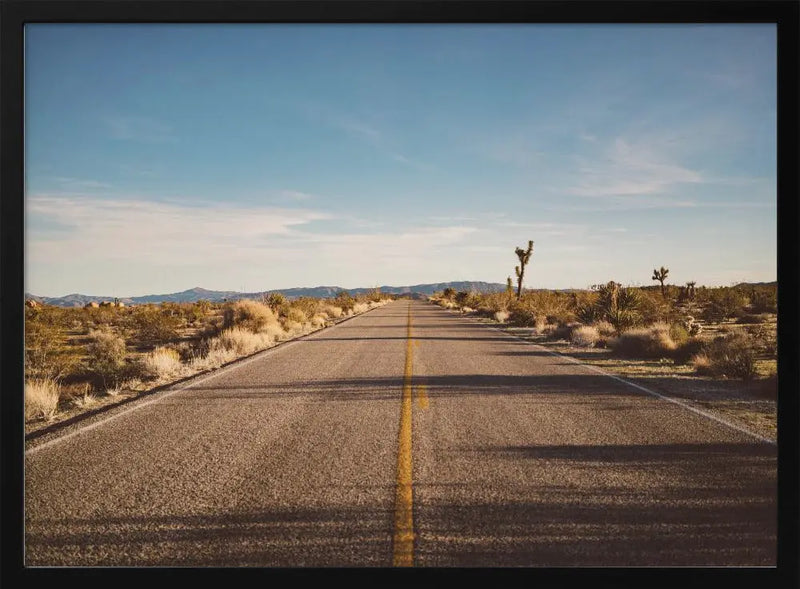 Joshua Tree Road - Stretched Canvas, Poster or Fine Art Print I Heart Wall Art