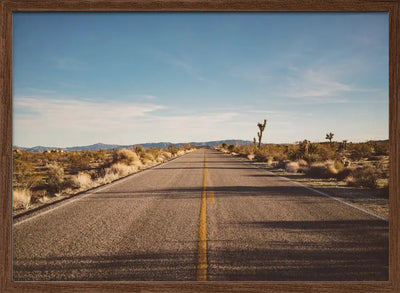 Joshua Tree Road - Stretched Canvas, Poster or Fine Art Print I Heart Wall Art