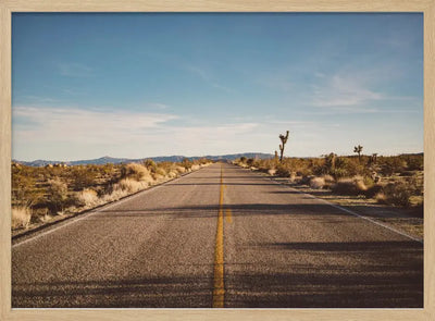 Joshua Tree Road - Stretched Canvas, Poster or Fine Art Print I Heart Wall Art