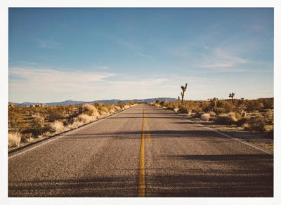 Joshua Tree Road - Stretched Canvas, Poster or Fine Art Print I Heart Wall Art