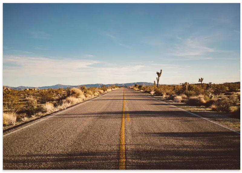 Joshua Tree Road - Stretched Canvas, Poster or Fine Art Print I Heart Wall Art