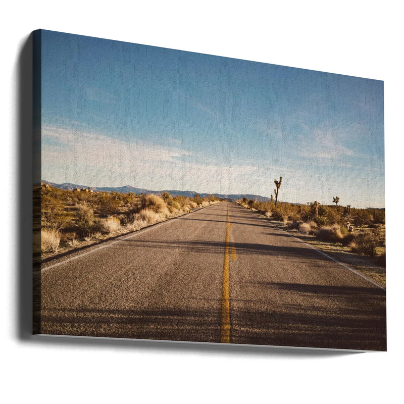 Joshua Tree Road - Stretched Canvas, Poster or Fine Art Print I Heart Wall Art