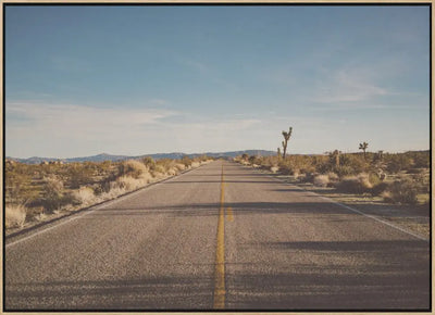 Joshua Tree Road - Stretched Canvas, Poster or Fine Art Print I Heart Wall Art