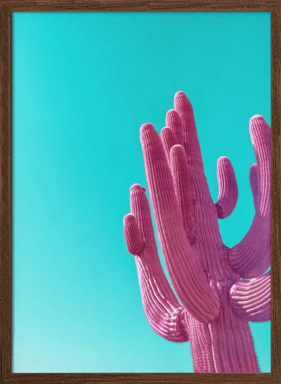 Magenta Pink Saguaro - Stretched Canvas, Poster or Fine Art Print I Heart Wall Art