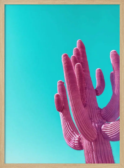 Magenta Pink Saguaro - Stretched Canvas, Poster or Fine Art Print I Heart Wall Art