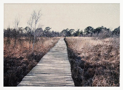 Nature reserve - Stretched Canvas, Poster or Fine Art Print I Heart Wall Art