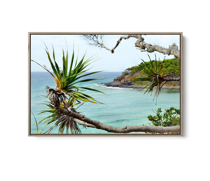 Noosa Beach - Pandanus and Ocean Sunshine Coast Photographic Art Print