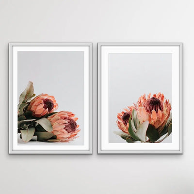 Orange Proteas - Two Piece Protea Photographic Print Canvas Framed Wall Art Diptych - I Heart Wall Art