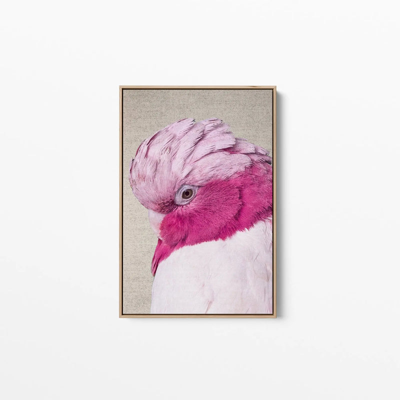 Pink Cockatoo - Gorgeous Pink Cockatoo on Linen Wall Art Print