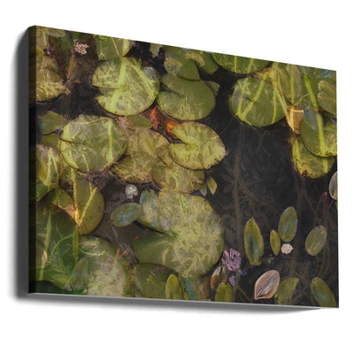 Pond plants - Stretched Canvas, Poster or Fine Art Print I Heart Wall Art