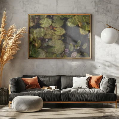 Pond plants - Stretched Canvas, Poster or Fine Art Print I Heart Wall Art