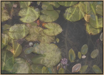 Pond plants - Stretched Canvas, Poster or Fine Art Print I Heart Wall Art