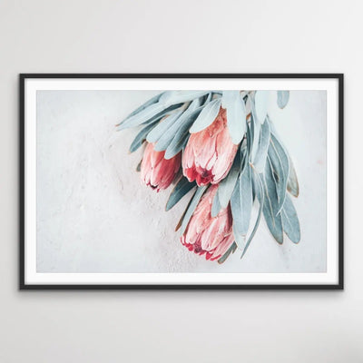 Protea Bunch - Australian Native Eucalyptus Art Print Stretched Canvas Wall Art I Heart Wall Art Australia 