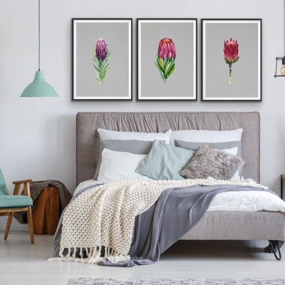 Protea on Grey Linen- Three or Four Piece Protea Watercolour Linen Australian Native Flower Nature Wall Art Prints Artwork Canvas Set Triptych - I Heart Wall Art