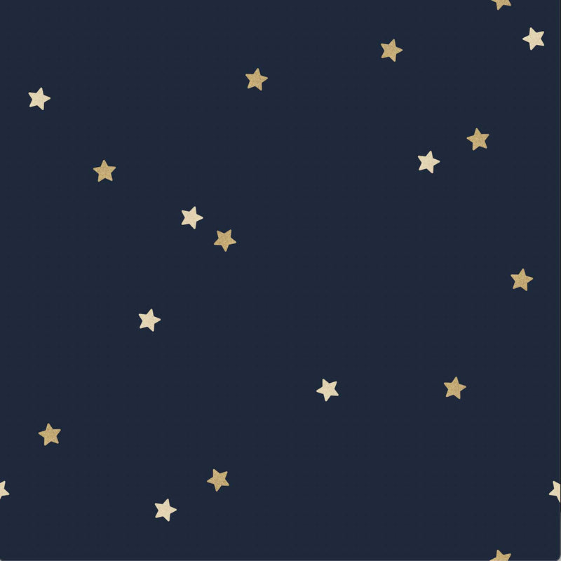 Starry Night - Kids Blue Starry Sky Peel and Stick Removable Wallpaper I Heart Wall Art Australia 